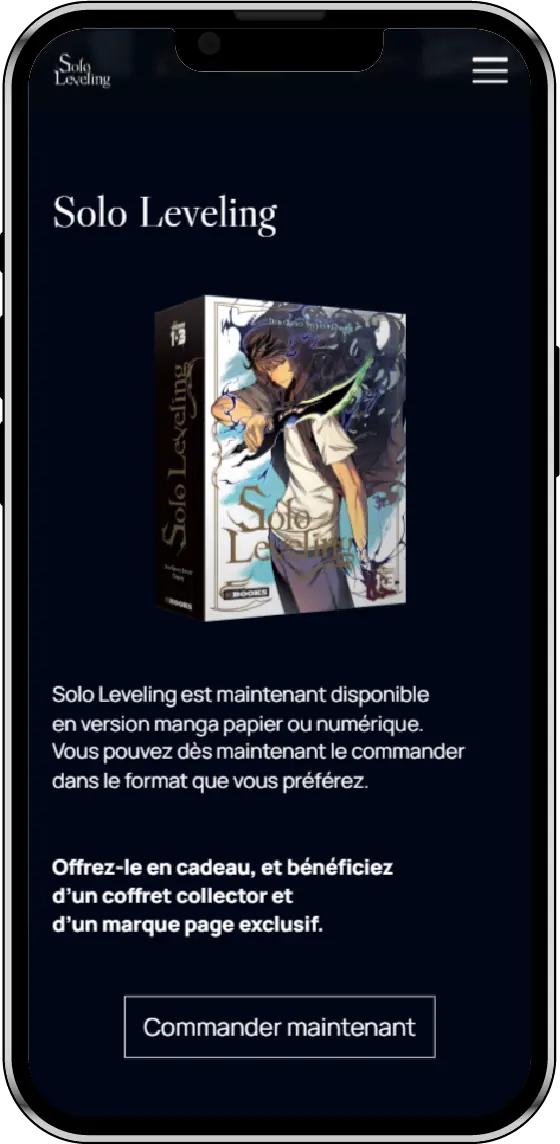 page d'accueil du projet decembre