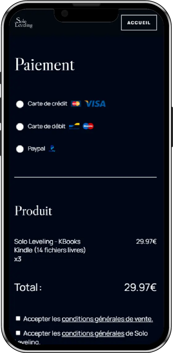 page de paiement du projet decembre